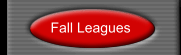 Fall Leagues